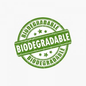 logo biodégradable eponge konjac DBS